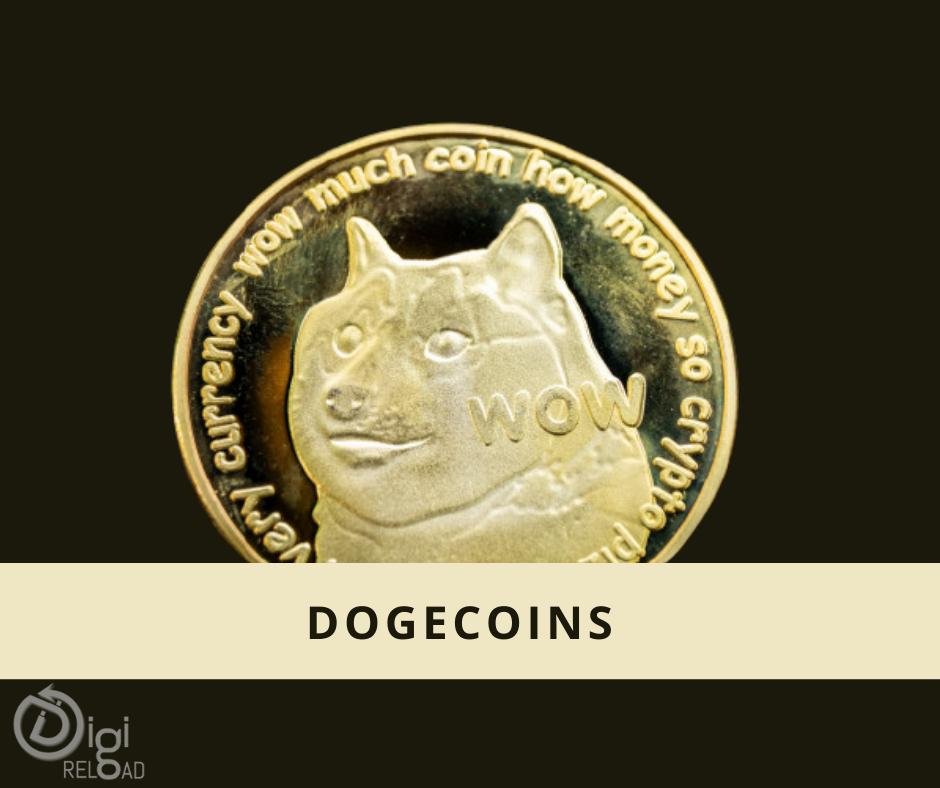 What is Dogecoin and Dogecoin and Elon Musk Connection